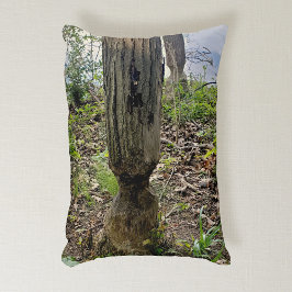 Cojín Decorativo Ruta del castor del Metropark de Oakwoods