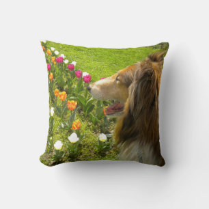 Cojín Decorativo Sable Rough Collie y Tulips