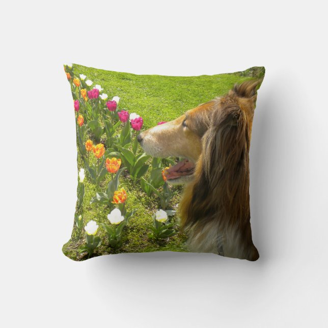 Cojín Decorativo Sable Rough Collie y Tulips (Anverso)