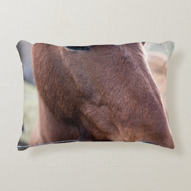 COJÍN DECORATIVO SAD HORSE (Anverso)