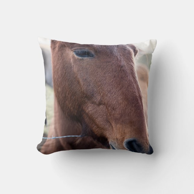 COJÍN DECORATIVO SAD HORSE (Anverso)