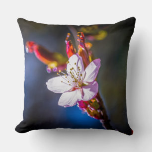 Cojín Decorativo Sakura - flor de cerezo japonesa