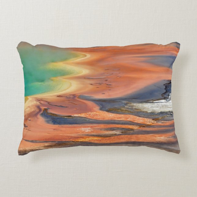 Cojín Decorativo Salida prismática magnífica de la primavera (Anverso)