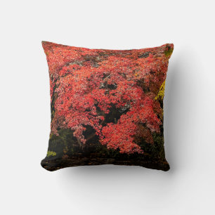 COJÍN DECORATIVO SALIDAS DE AUTUMN