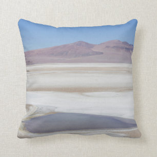 Cojín Decorativo Salt Lake en el camino a la Argentina