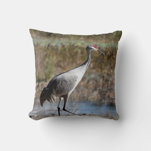 Cojín Decorativo Sandhill Crane (Anverso)
