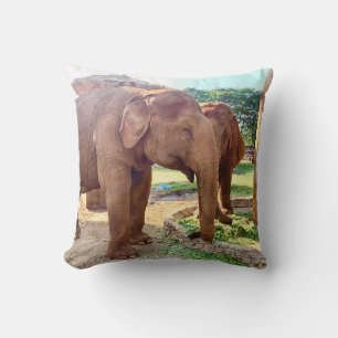 Cojín Decorativo Santuario de Elefantes 