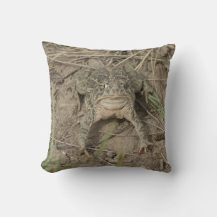 Cojín Decorativo Sapo de la pradera R10