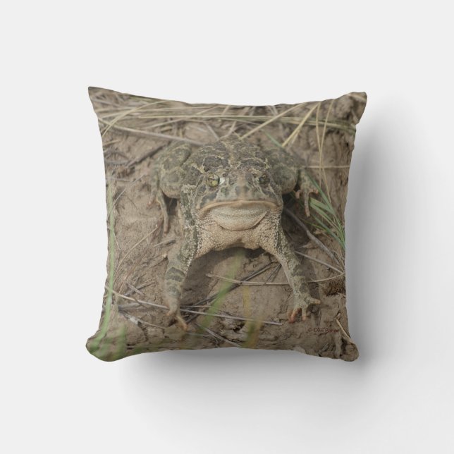 Cojín Decorativo Sapo de la pradera R10 (Anverso)