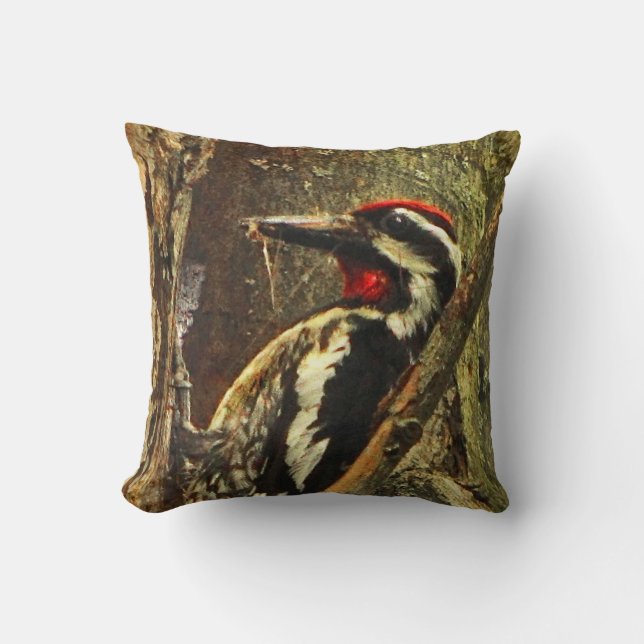 Cojín Decorativo Sapsucker (Anverso)