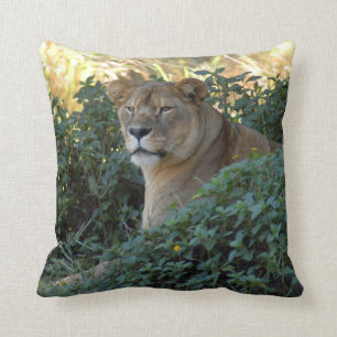 Cojín Decorativo sarabi-set-1-003