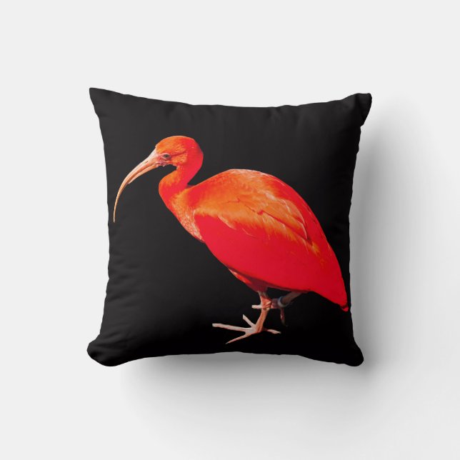 Cojín Decorativo Scarlet Ibis (Anverso)