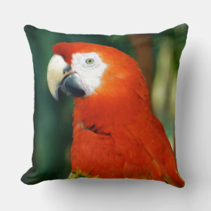 Cojín Decorativo Scarlet Macaw