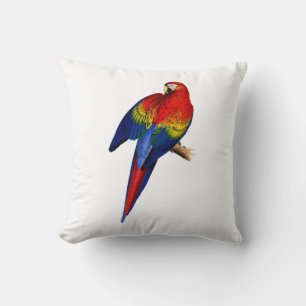 Cojín Decorativo Scarlet Macaw Tropical Colorous Rain Forest Bird