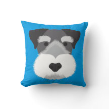 Schnauzer miniatura azul