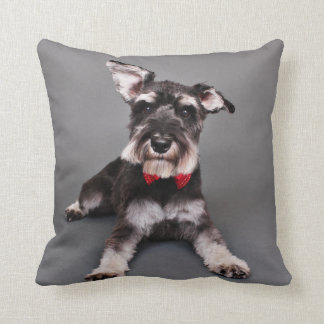 Cojín Decorativo Schnauzer - Tom Dooley