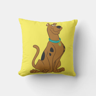 Cojín Decorativo Scooby-Doo Cuter Thate