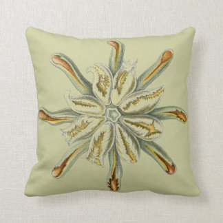 Cojín Decorativo Sealife del vintage de Haeckel