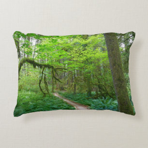 Cojín Decorativo Sendero Ancient Groves en el Parque Nacional Olymp