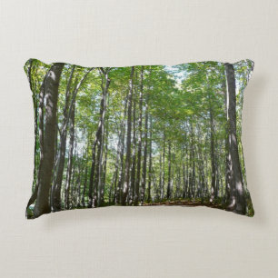 Cojín Decorativo Sendero Arbolado Centenario II Ellicott City Maryl