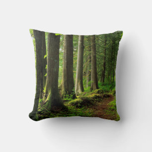 Cojín Decorativo Sendero escénico del bosque verde