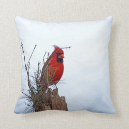 Cojín Decorativo Sentada cardinal septentrional roja en un poste de