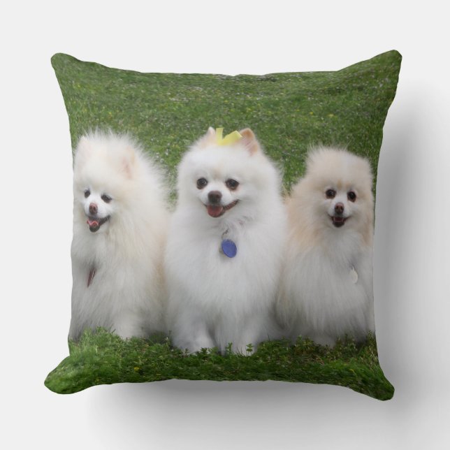 Cojín Decorativo Sentada de 3 Pomeranians (Anverso)