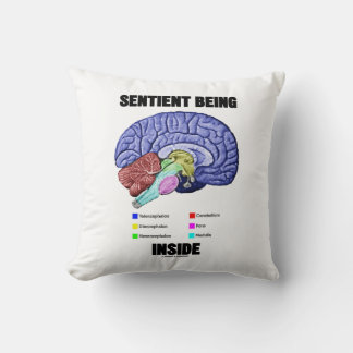 Cojín Decorativo Sentimiento al estar dentro del cerebro anatómico