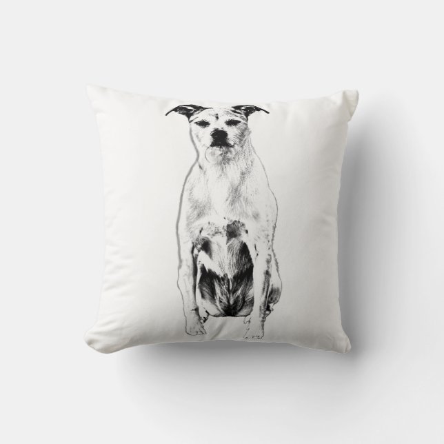 Cojín Decorativo Sentinel de calabaza (Anverso)