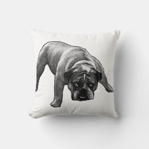 Cojín Decorativo Sentinel De Nook Por La Noche