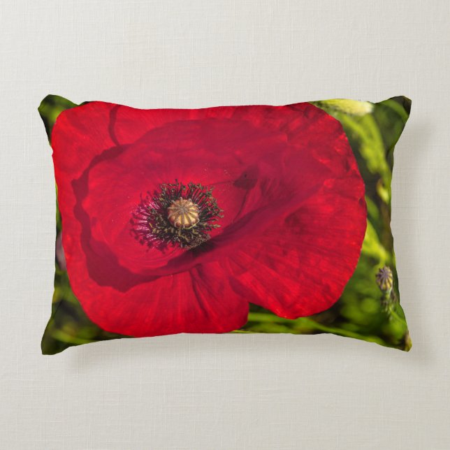 Cojín Decorativo Serie de amapola #2 (Anverso)