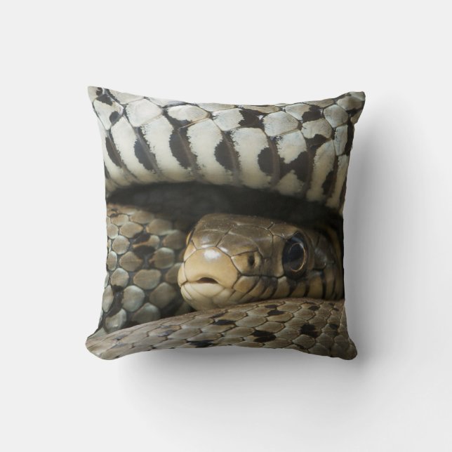 Cojín Decorativo Serpiente (Anverso)