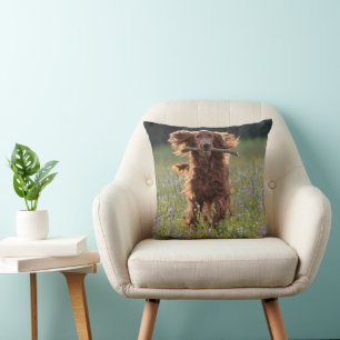 Cojín Decorativo Setter Irlandés corriendo con un palo