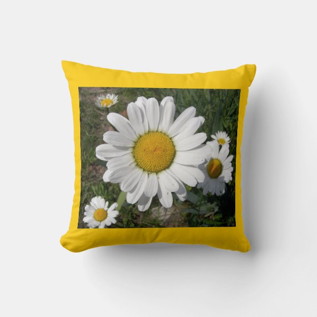 Cojín Decorativo Shasta Daisies (Chrysanthemum máximo) (Anverso)
