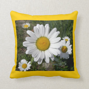 Cojín Decorativo Shasta Daisies (Chrysanthemum máximo)