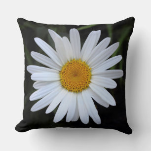 Cojín Decorativo Shasta Daisy 01