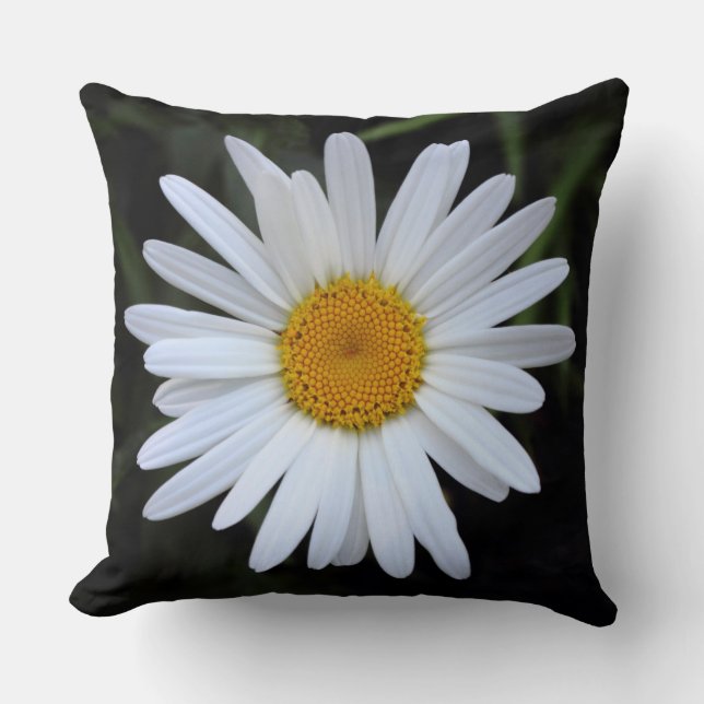 Cojín Decorativo Shasta Daisy 01 (Anverso)
