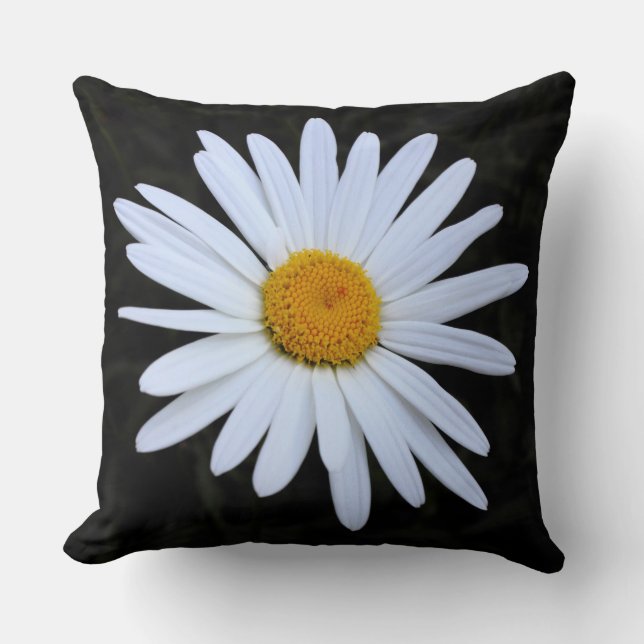 Cojín Decorativo Shasta Daisy 02 (Anverso)