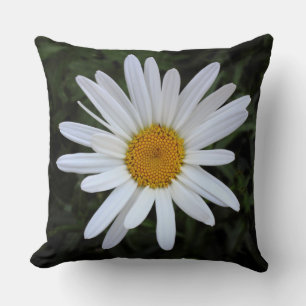 Cojín Decorativo Shasta Daisy 03