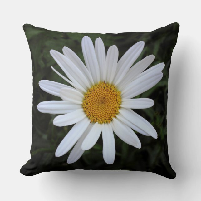 Cojín Decorativo Shasta Daisy 03 (Anverso)