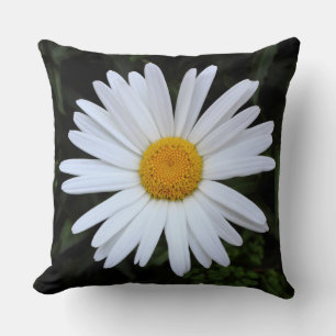 Cojín Decorativo Shasta Daisy 04