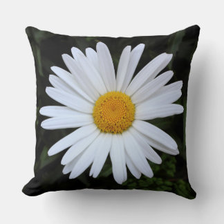 Cojín Decorativo Shasta Daisy 04