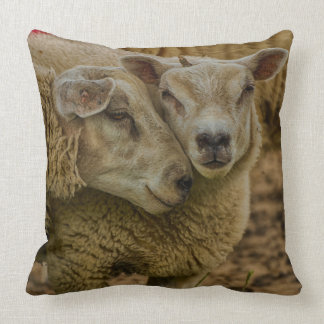 Cojín Decorativo sheep
