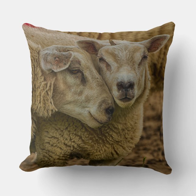 Cojín Decorativo sheep (Anverso)
