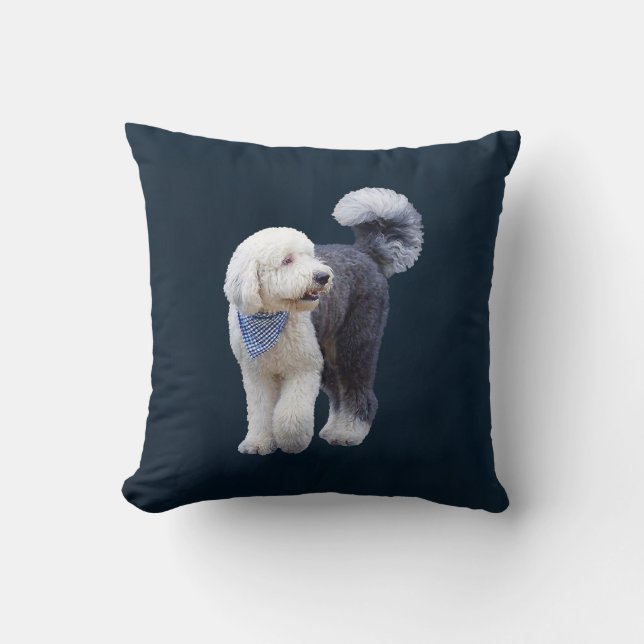 Cojín Decorativo Sheepadoodle con bufanda azul a cuadros (Anverso)