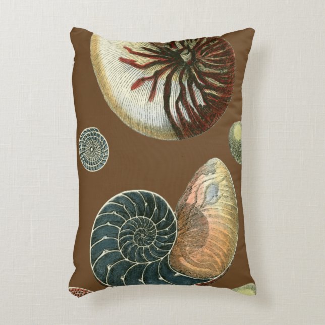 Cojín Decorativo Shell de cacao (Frente (Vertical))