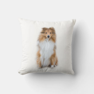 Cojín Decorativo Sheltie Shetland Sheepdog Pillow