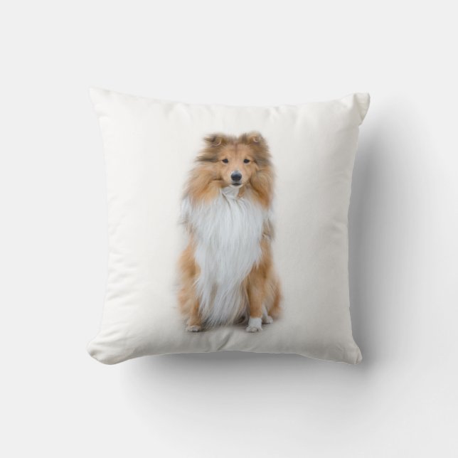 Cojín Decorativo Sheltie Shetland Sheepdog Pillow (Anverso)