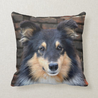 Cojín Decorativo Sheltie tricolor
