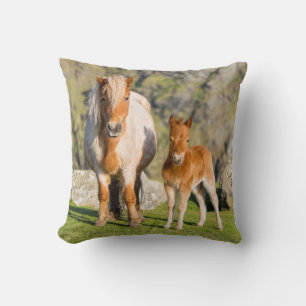 Cojín Decorativo Shetland Pony en pastizal cerca de acantilados alt